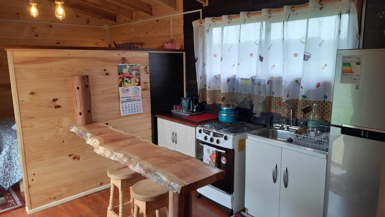 Cabana Del Campo Hornopiren Dış mekan fotoğraf