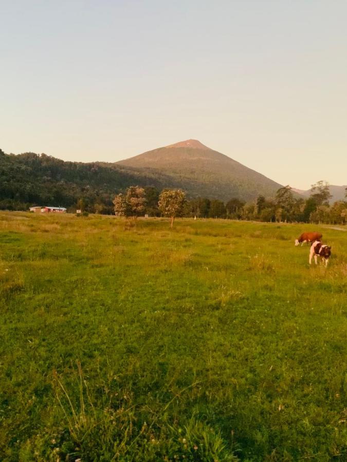 Cabana Del Campo Hornopiren Dış mekan fotoğraf